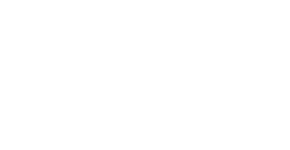 PLaya Paraiso logo white